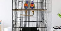 modele de colivii pentru păsări tropicale si exotice